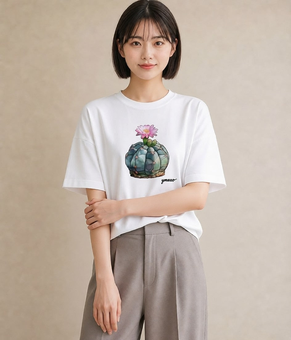 プリントTシャツ レディース 多肉植物 植物 ボタニカル イラスト カジュアル 誕生日プレゼント 綿100 白T YMAZO
