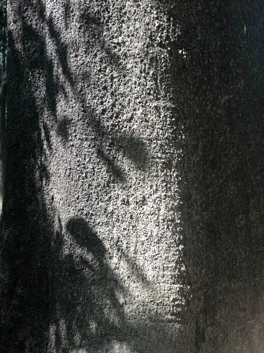 HINOQI ナチュラル・パフューム 100%天然原料使用した淑やかで優雅な香り ディスカバリー・セット 桐箱入(3種)