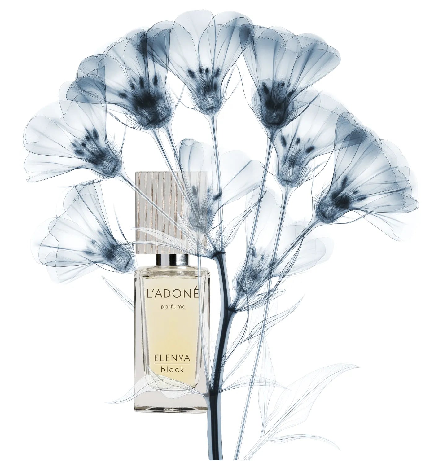 L'ADONÉ ELENYA black(ラドネ エレニア ブラック)2mL スイス・チューリッヒ発のヴィーガン香水