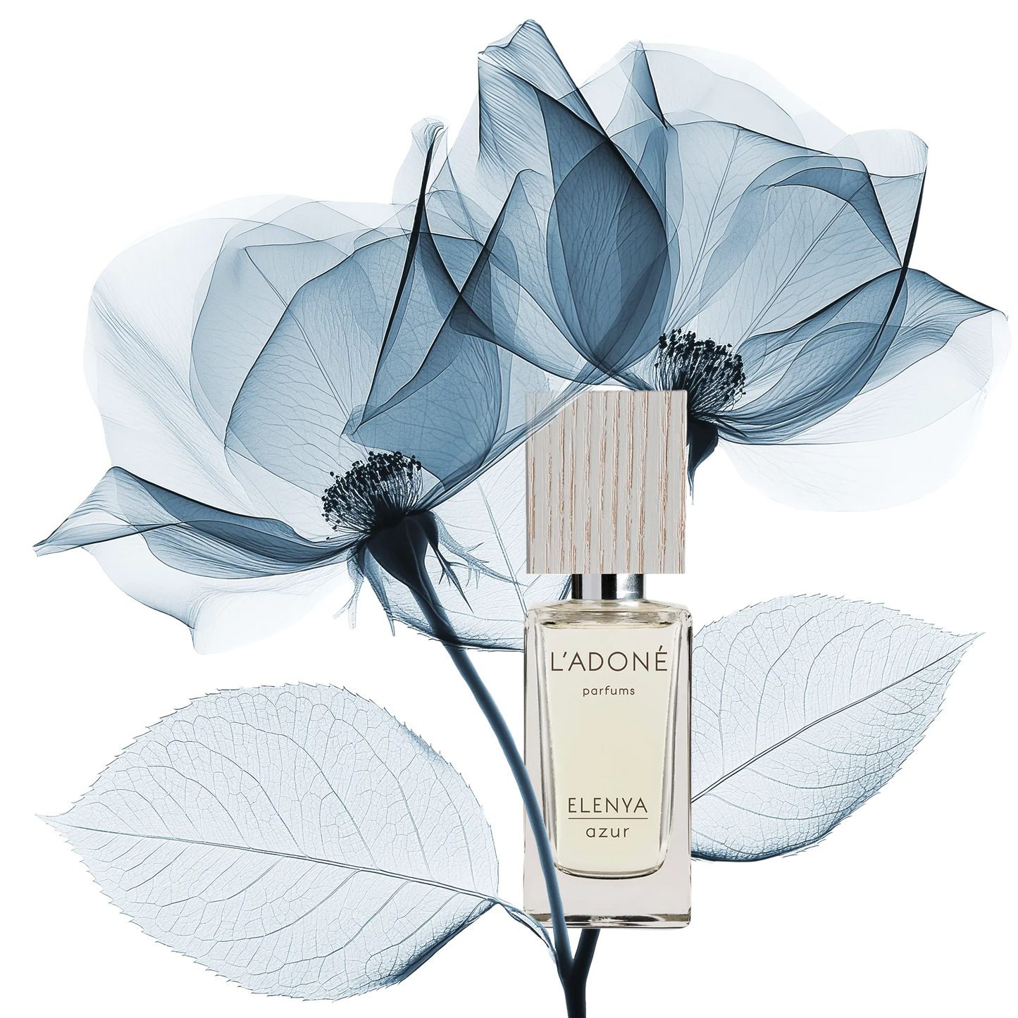 L'ADONÉ ELENYA azur(ラドネ エレニア アズール)2mL スイス・チューリッヒ発のヴィーガン香水