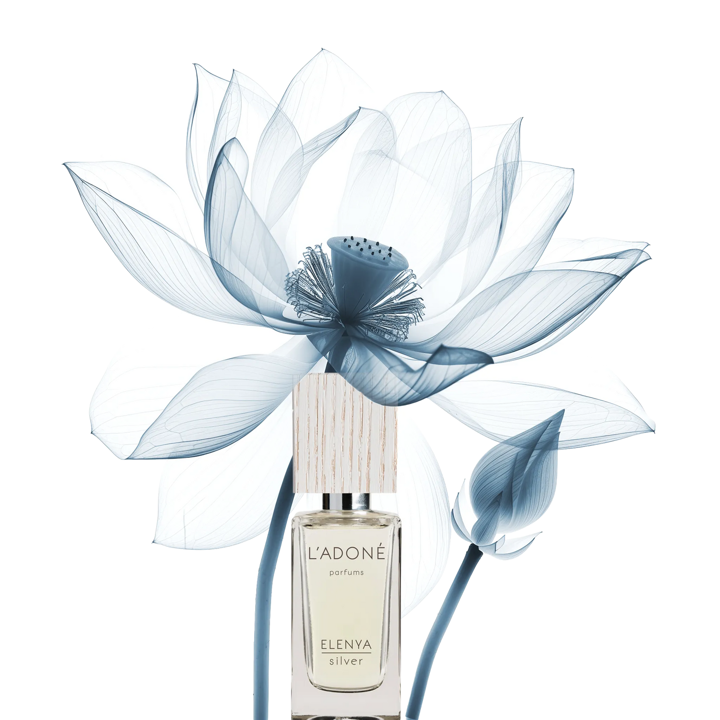 L'ADONÉ ELENYA silver(ラドネ エレニア シルバー)2mL スイス・チューリッヒ発のヴィーガン香水