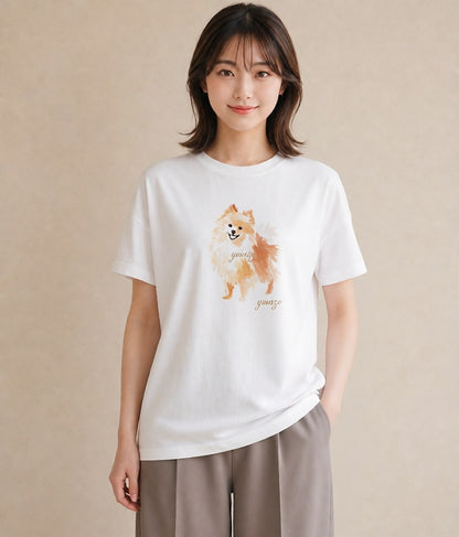 グラフィックTシャツ レディース ポメラニアン ポメ 犬 いぬ イラスト 韓国風 女性向けギフト 散歩 白T YMAZO