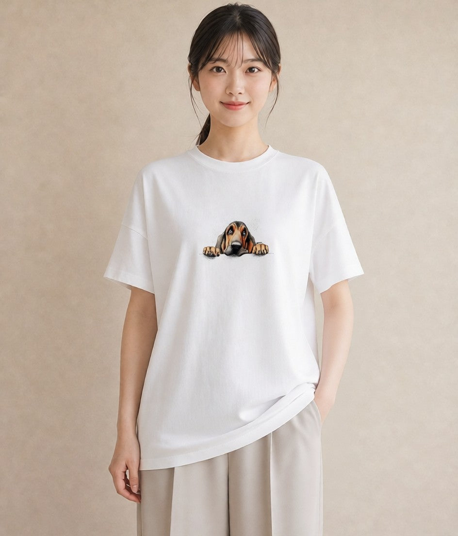 Tシャツ レディース 四国犬 犬 いぬ イラスト シック 春服 ミセス 白T YMAZO