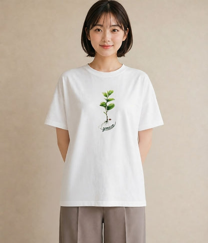 Tシャツ レディース てんとう虫 昆虫 虫 イラスト ボタニカル ルームウェア ギフト 白T YMAZO