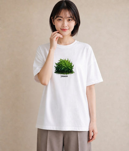 デザインTシャツ レディース 芝生 植物 ボタニカル イラスト 手描き風 秋コーデ おしゃれギフト 白T YMAZO