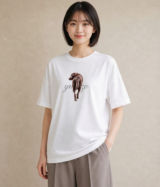 グラフィックTシャツ レディース しっぽ 猫 ねこ イラスト 休日コーデ デイリーウェア 休日 白T YMAZO