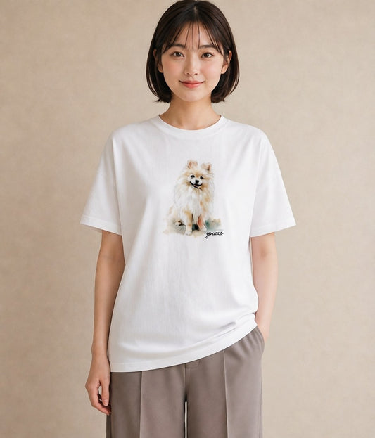 グラフィックTシャツ レディース ポメラニアン ポメ 犬 いぬ イラスト 普段使い ビーチ デイリーウェア 白T YMAZO
