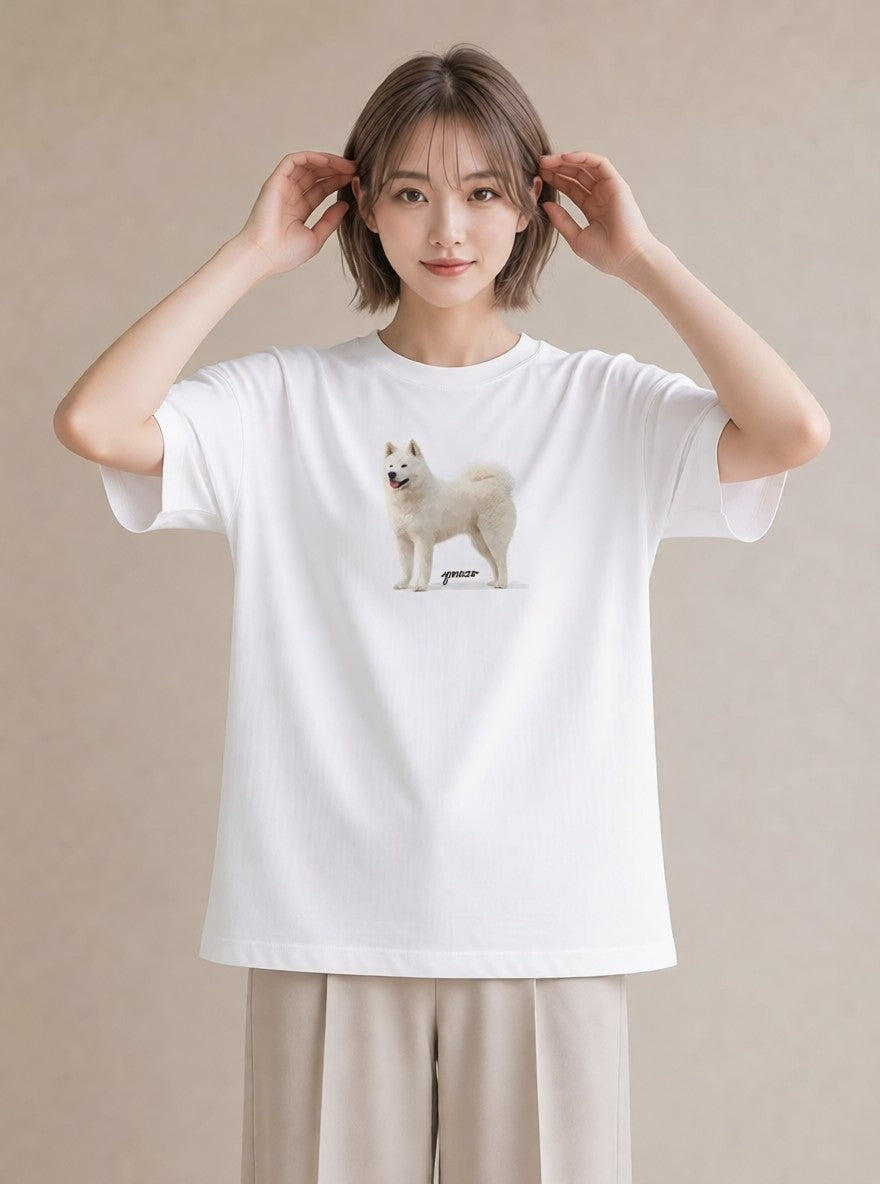 グラフィックTシャツ レディース サモエド 犬 いぬ イラスト シック 春服 ミセス 白T YMAZO