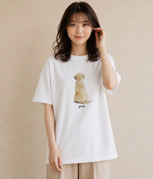 Tシャツ レディース ラブラドールレトリバー 犬 いぬ イラスト フェミニン ルームウェア ギフト 白T YMAZO