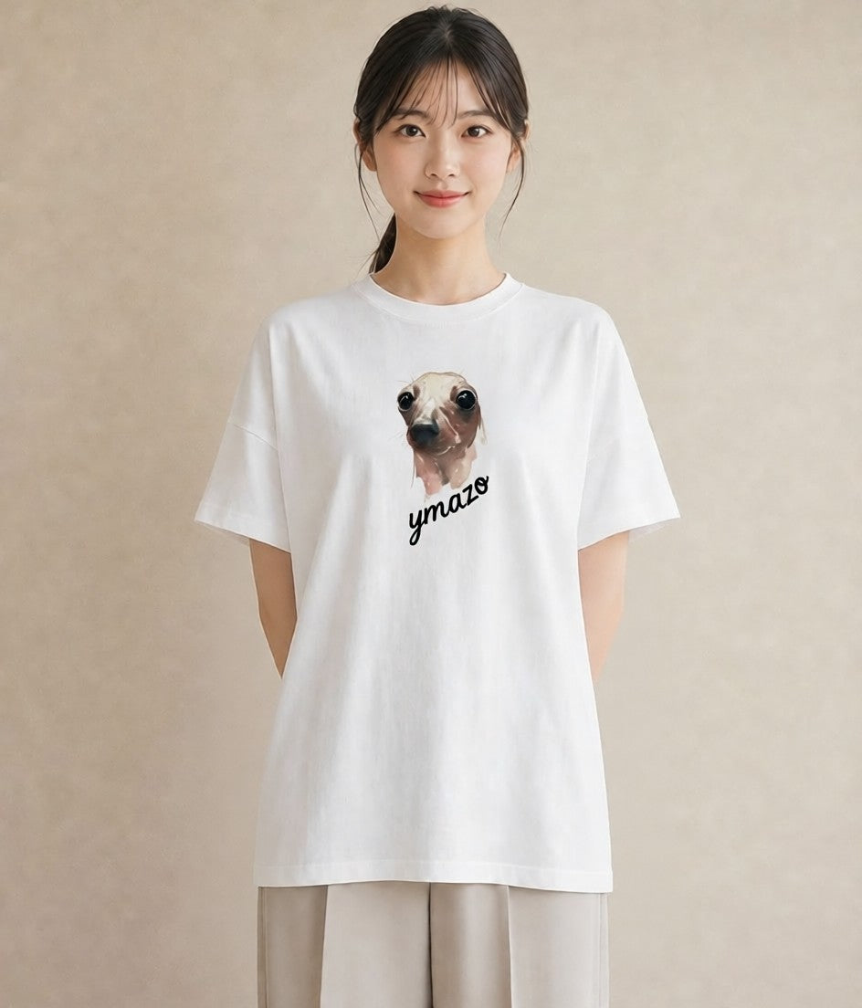 プリントTシャツ レディース アザラシ 動物 アニマル イラスト フェミニン クリスマス 旅行 白T YMAZO