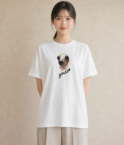 プリントTシャツ レディース アザラシ 動物 アニマル イラスト フェミニン クリスマス 旅行 白T YMAZO