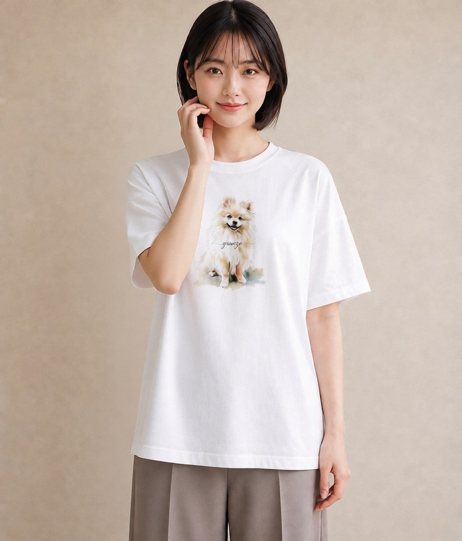 プリントTシャツ レディース ポメラニアン ポメ 犬 いぬ イラスト きれいめカジュアル 自分用 ルームウェア 白T YMAZO