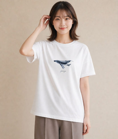 半袖Tシャツ レディース シャチ 海の生き物 海 イラスト 普段使い 夏コーデ 通学 白T YMAZO