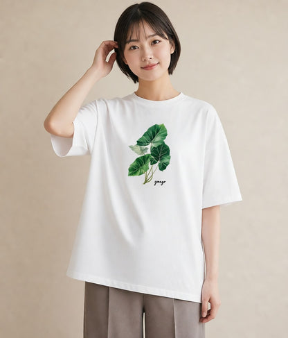 半袖Tシャツ レディース モンステラ 植物 ボタニカル イラスト ニュアンス 社会人 女性 白T YMAZO