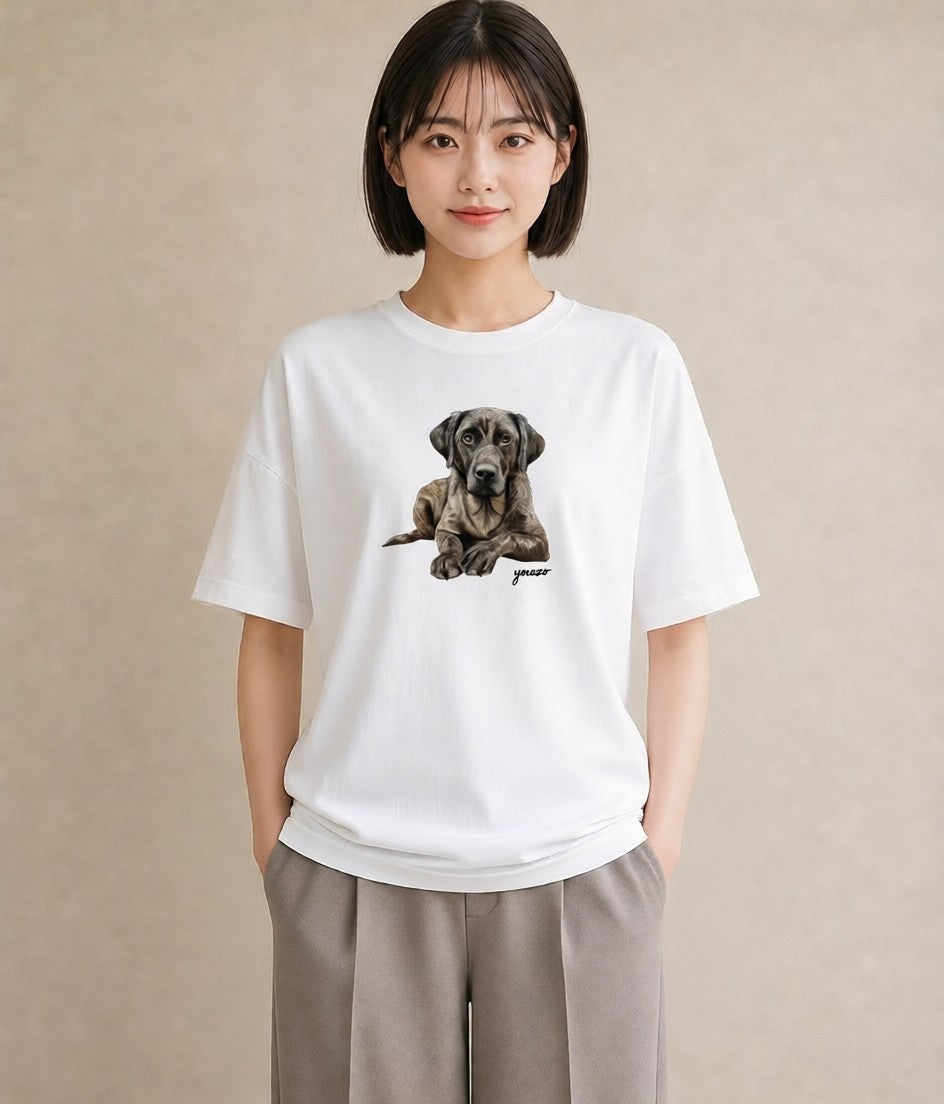 プリントTシャツ レディース 老犬 犬 いぬ イラスト きれいめ ペアコーデ 秋コーデ 白T YMAZO