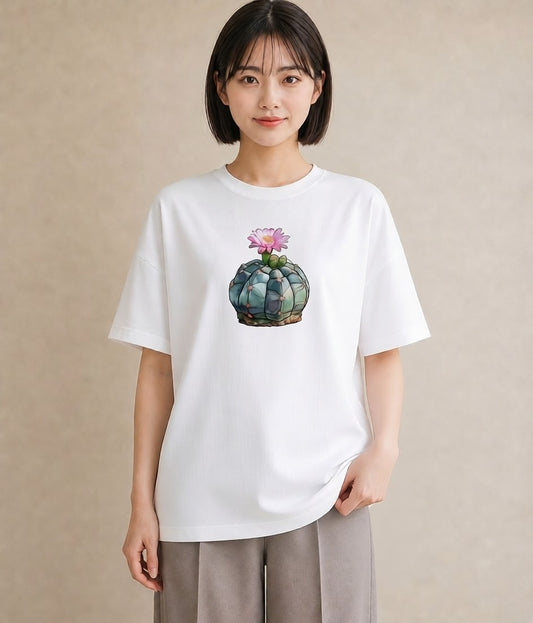プリントTシャツ レディース 多肉植物 植物 ボタニカル イラスト カジュアル 誕生日プレゼント 綿100 白T YMAZO
