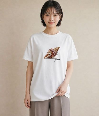 デザインTシャツ レディース 貝 海の生き物 海 イラスト ユニーク 綿100 デート 白T YMAZO