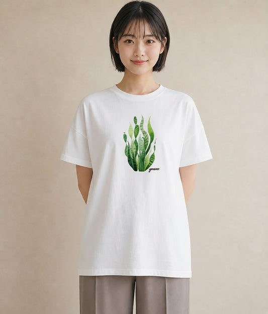 プリントTシャツ レディース シダ 植物 ボタニカル イラスト 可愛い 母の日 ビーチ 白T YMAZO