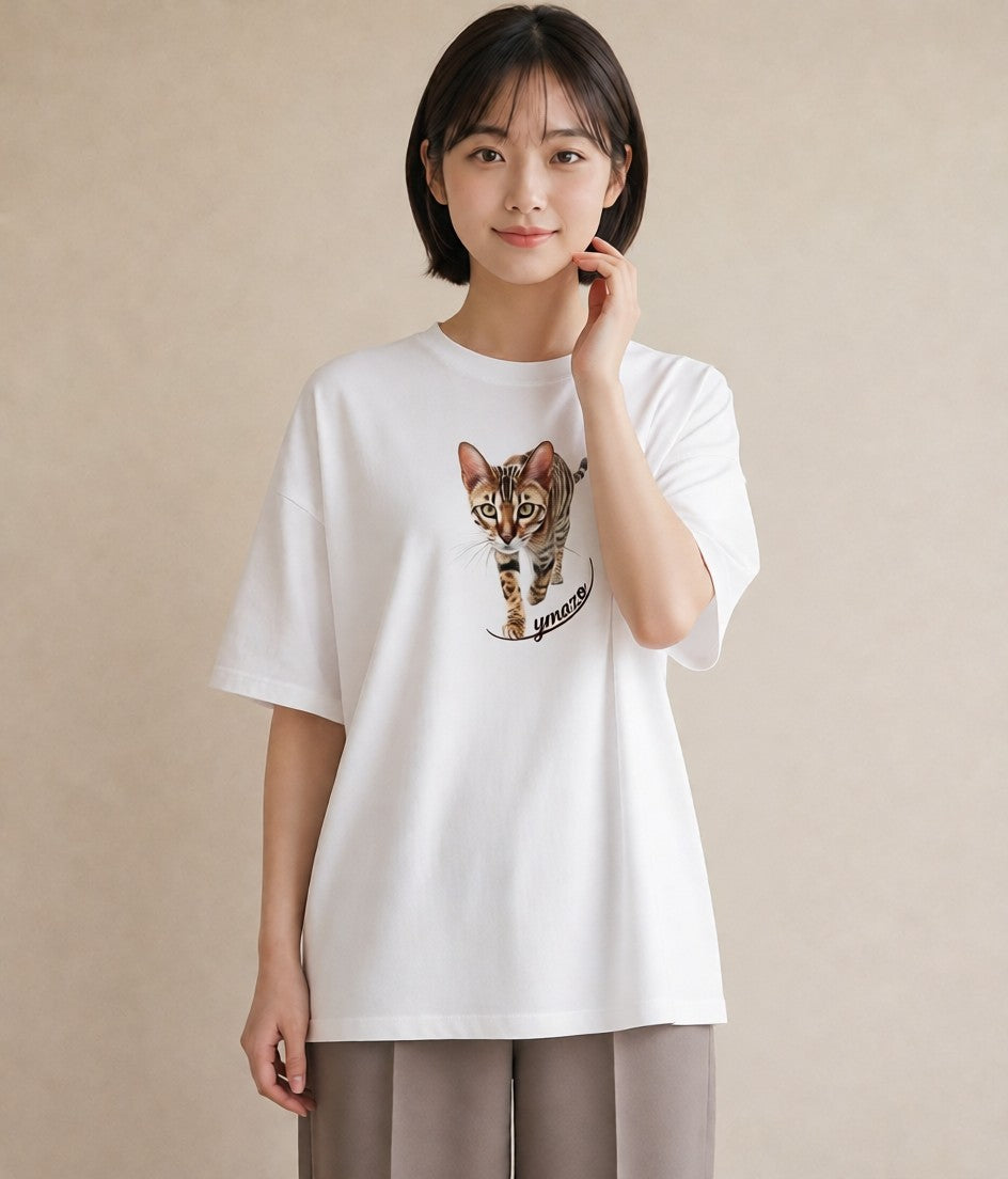 Tシャツ レディース ぶち猫 猫 ねこ イラスト ゆるかわ 女性向けギフト 散歩 白T YMAZO