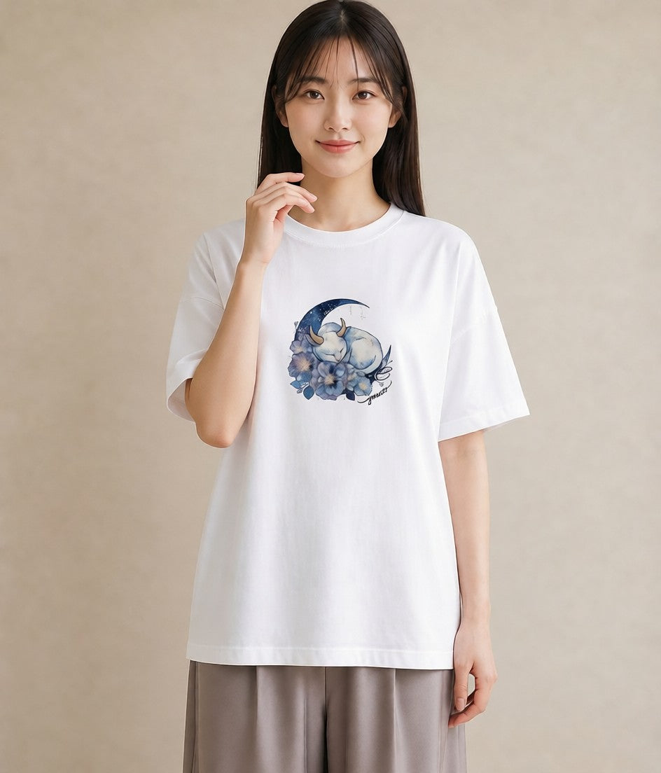 グラフィックTシャツ レディース エキゾチックショートヘア 猫 ねこ イラスト ゆるかわ ルームウェア ギフト 白T YMAZO