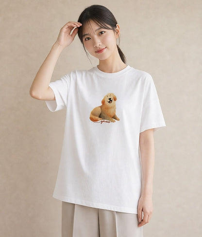 Tシャツ レディース ゴールデンレトリバー ゴールデン 犬 いぬ イラスト 淡色 20代 カジュアルコーデ 白T YMAZO