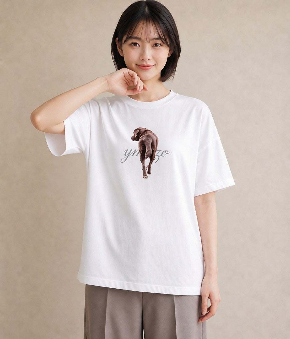 グラフィックTシャツ レディース しっぽ 猫 ねこ イラスト 休日コーデ デイリーウェア 休日 白T YMAZO