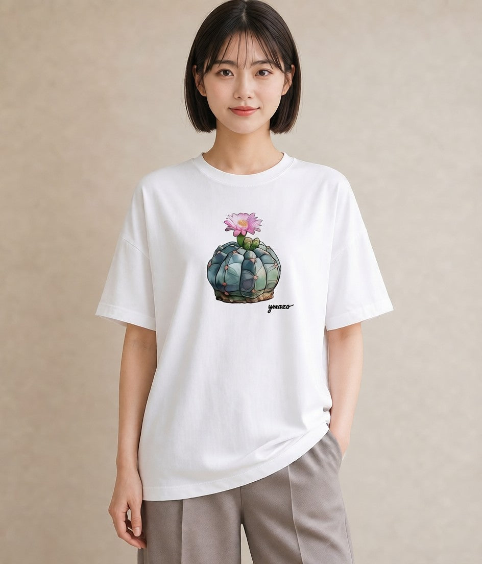 プリントTシャツ レディース 多肉植物 植物 ボタニカル イラスト カジュアル 誕生日プレゼント 綿100 白T YMAZO