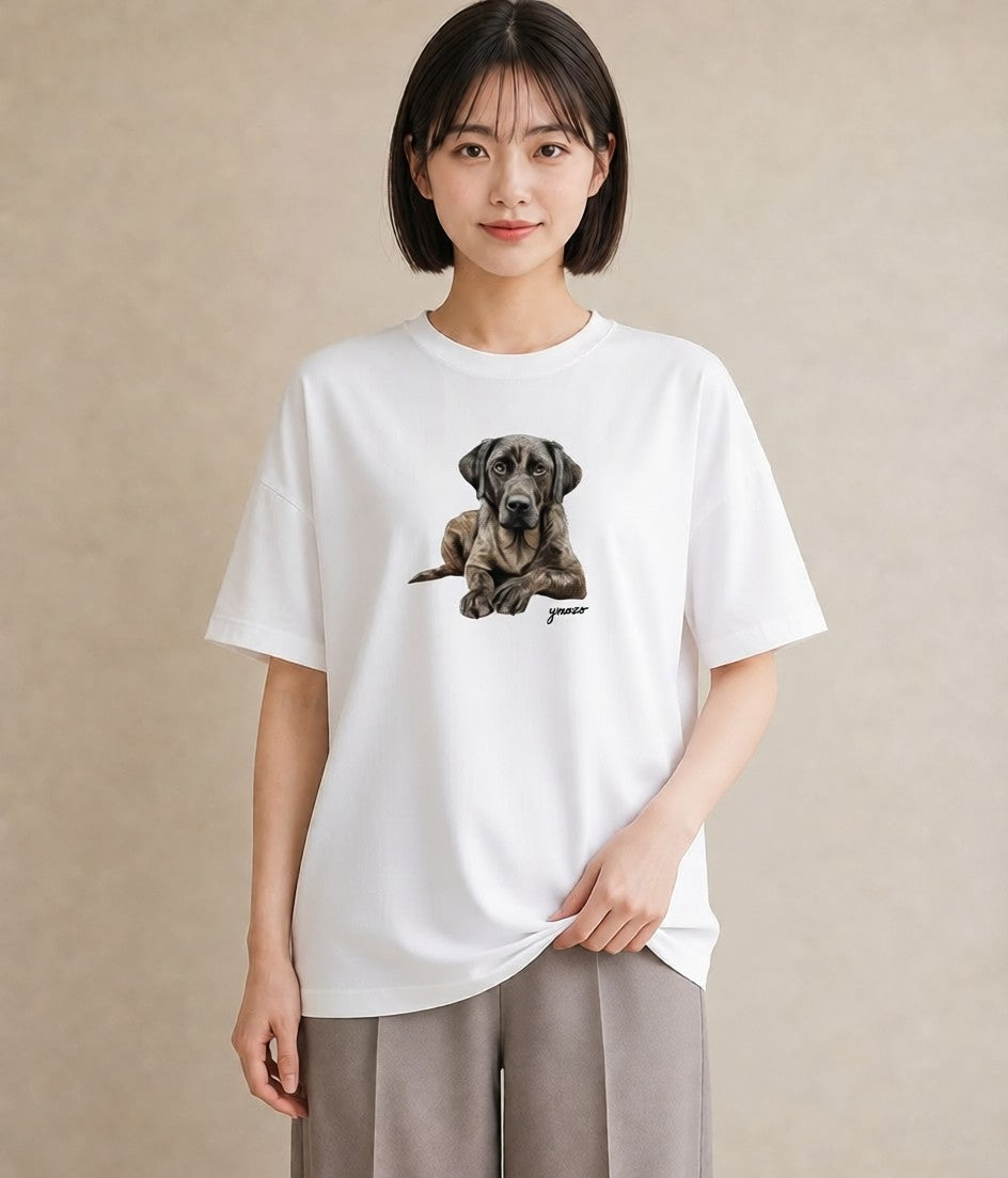 プリントTシャツ レディース 老犬 犬 いぬ イラスト きれいめ ペアコーデ 秋コーデ 白T YMAZO