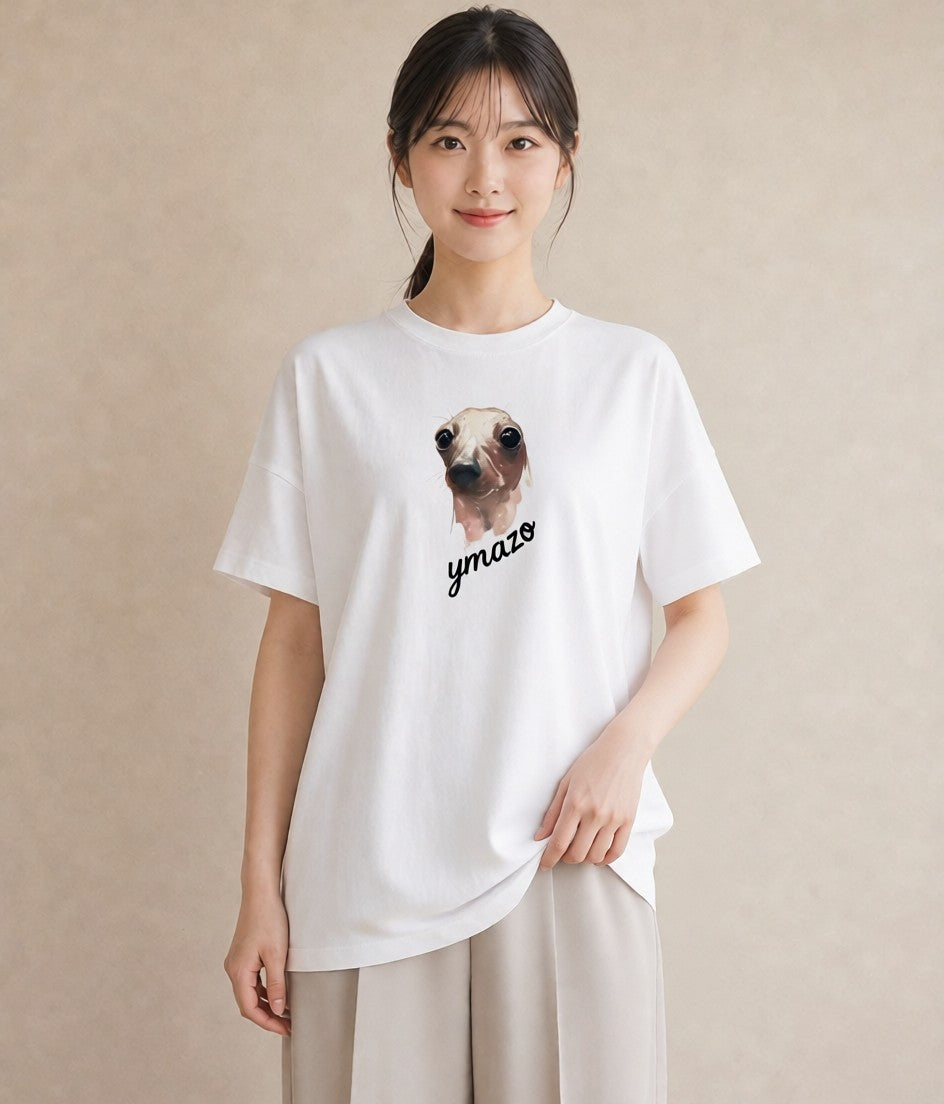 プリントTシャツ レディース アザラシ 動物 アニマル イラスト フェミニン クリスマス 旅行 白T YMAZO