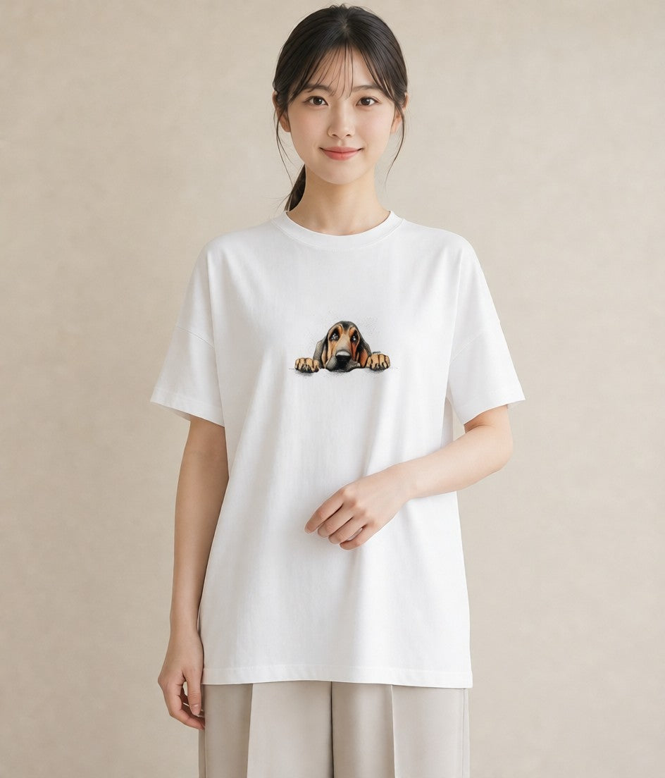 Tシャツ レディース 四国犬 犬 いぬ イラスト シック 春服 ミセス 白T YMAZO