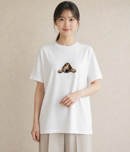 Tシャツ レディース 四国犬 犬 いぬ イラスト シック 春服 ミセス 白T YMAZO