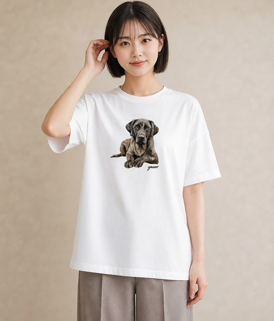 プリントTシャツ レディース 老犬 犬 いぬ イラスト きれいめ ペアコーデ 秋コーデ 白T YMAZO
