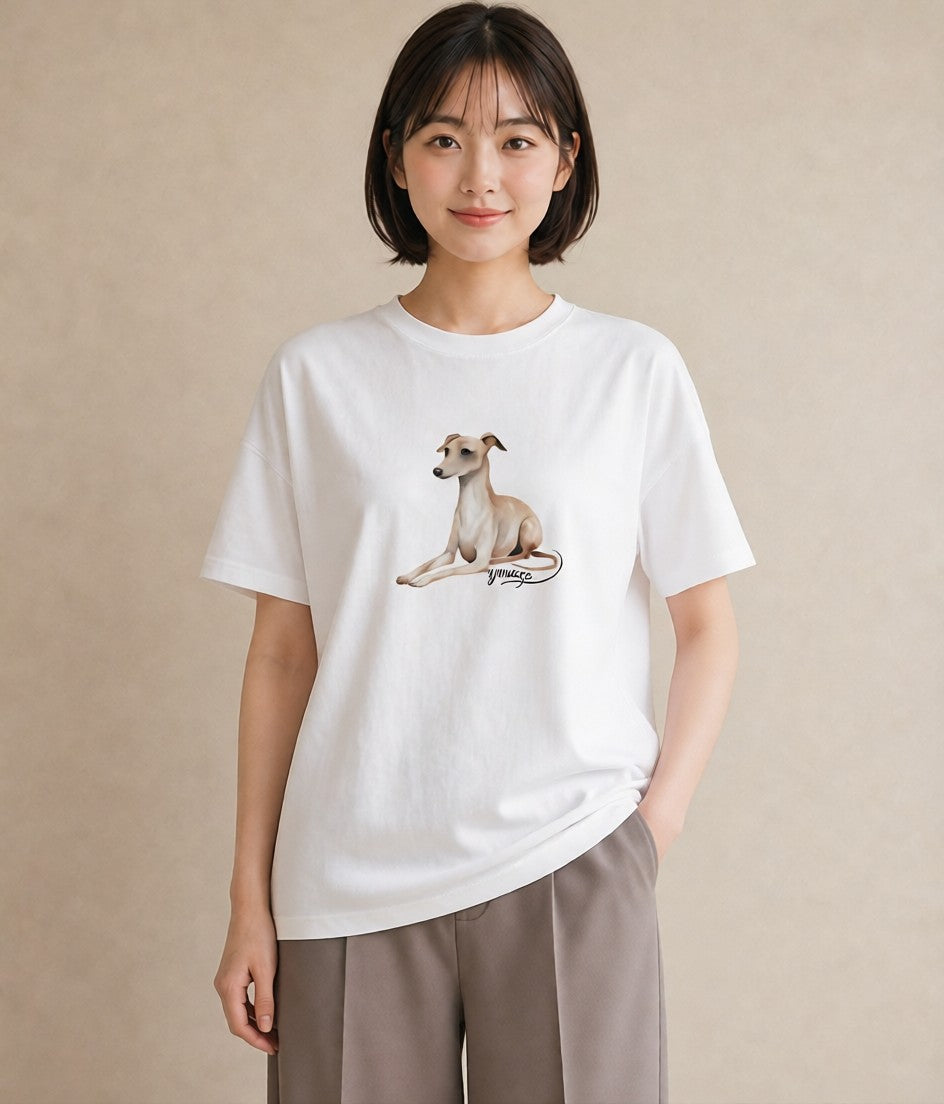 Tシャツ レディース イタリアングレーハウンド 犬 いぬ イラスト ミニマル 誕生日プレゼント 綿100 白T YMAZO