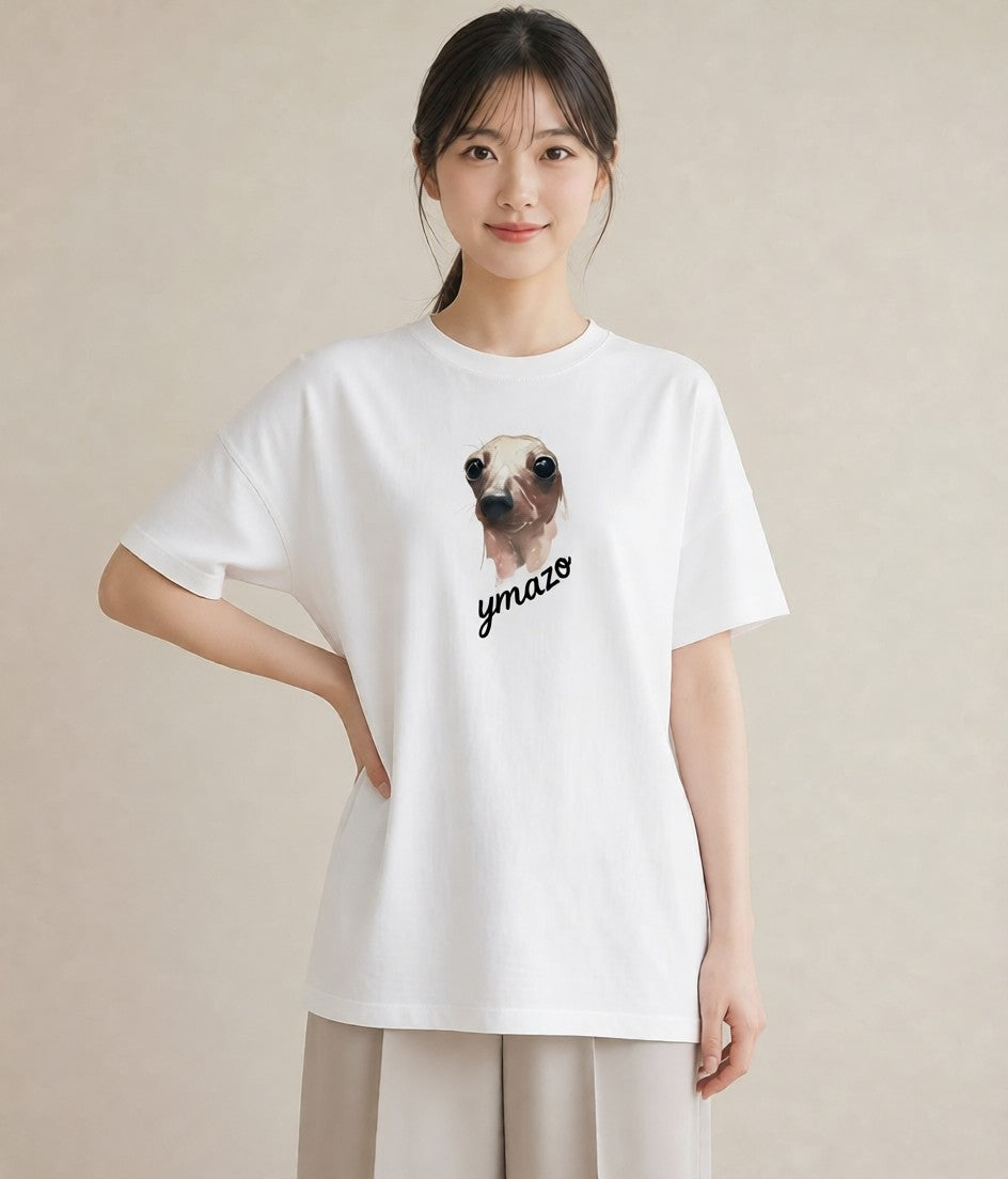 プリントTシャツ レディース アザラシ 動物 アニマル イラスト フェミニン クリスマス 旅行 白T YMAZO