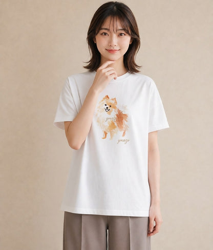 グラフィックTシャツ レディース ポメラニアン ポメ 犬 いぬ イラスト 韓国風 女性向けギフト 散歩 白T YMAZO