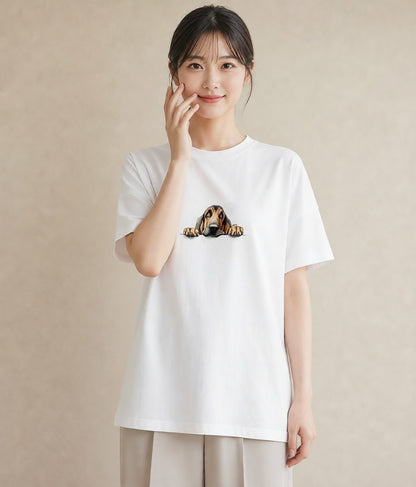 Tシャツ レディース 四国犬 犬 いぬ イラスト シック 春服 ミセス 白T YMAZO