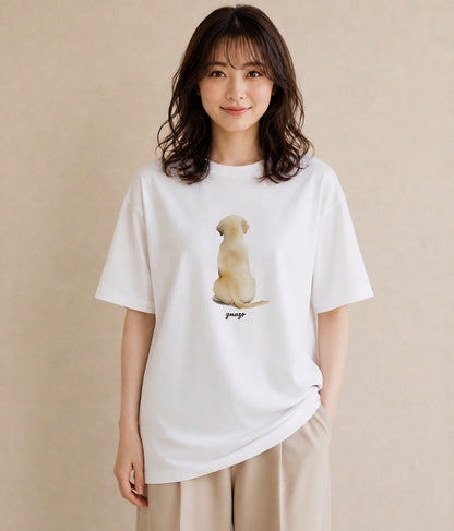 Tシャツ レディース ラブラドールレトリバー 犬 いぬ イラスト フェミニン ルームウェア ギフト 白T YMAZO