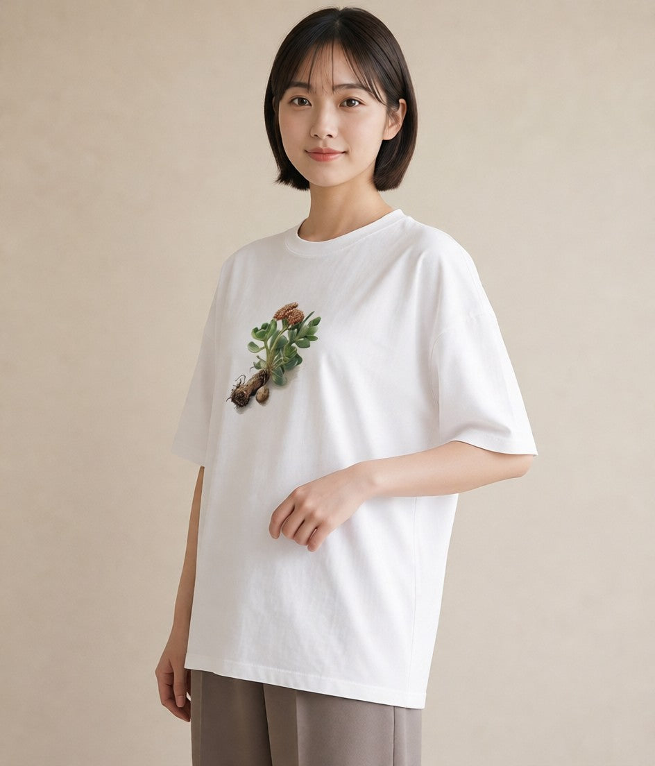 Tシャツ レディース 多肉植物 植物 ボタニカル イラスト カフェ服 クリスマス 白T YMAZO