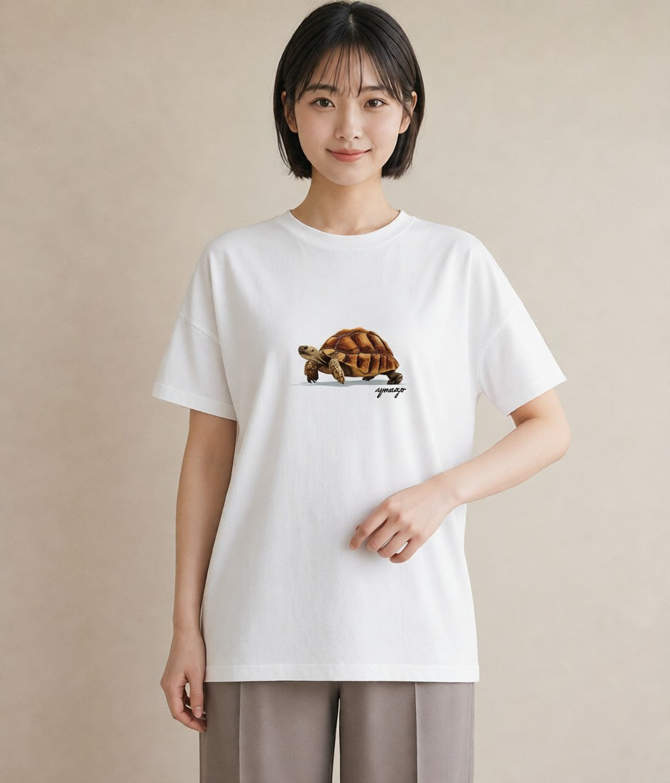 Tシャツ レディース ゼニガメ ペット 動物 イラスト レトロ ミセス 春コーデ 白T YMAZO