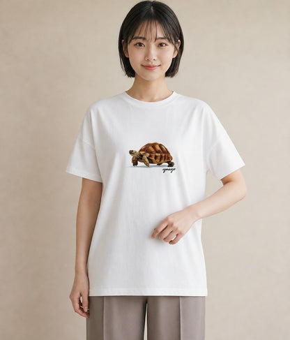 Tシャツ レディース ゼニガメ ペット 動物 イラスト レトロ ミセス 春コーデ 白T YMAZO