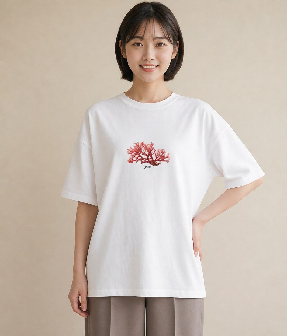 グラフィックTシャツ レディース サンゴ 海の生き物 海 イラスト シック クリスマス 旅行 白T YMAZO