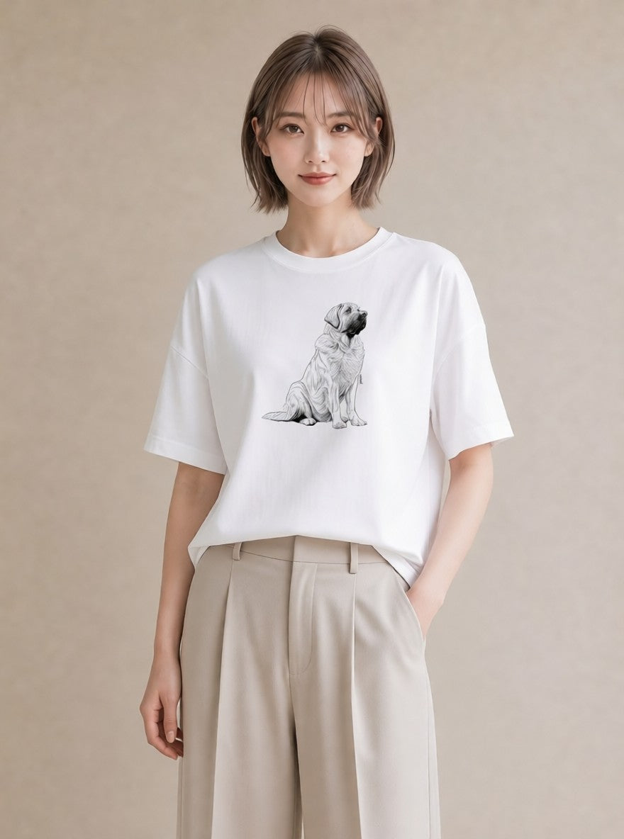 グラフィックTシャツ レディース 豆柴 犬 いぬ イラスト ラフカジュアル 友達ギフト 部屋着 白T YMAZO