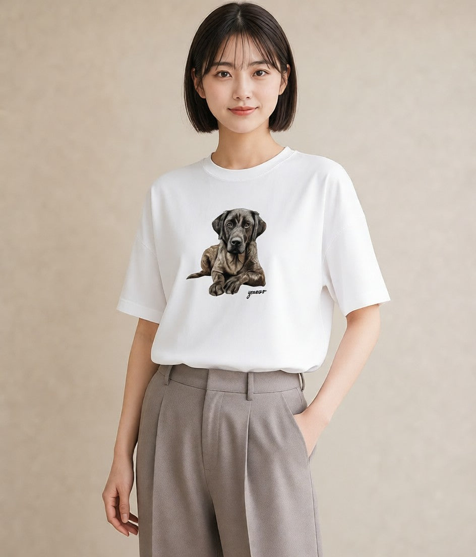 プリントTシャツ レディース 老犬 犬 いぬ イラスト きれいめ ペアコーデ 秋コーデ 白T YMAZO