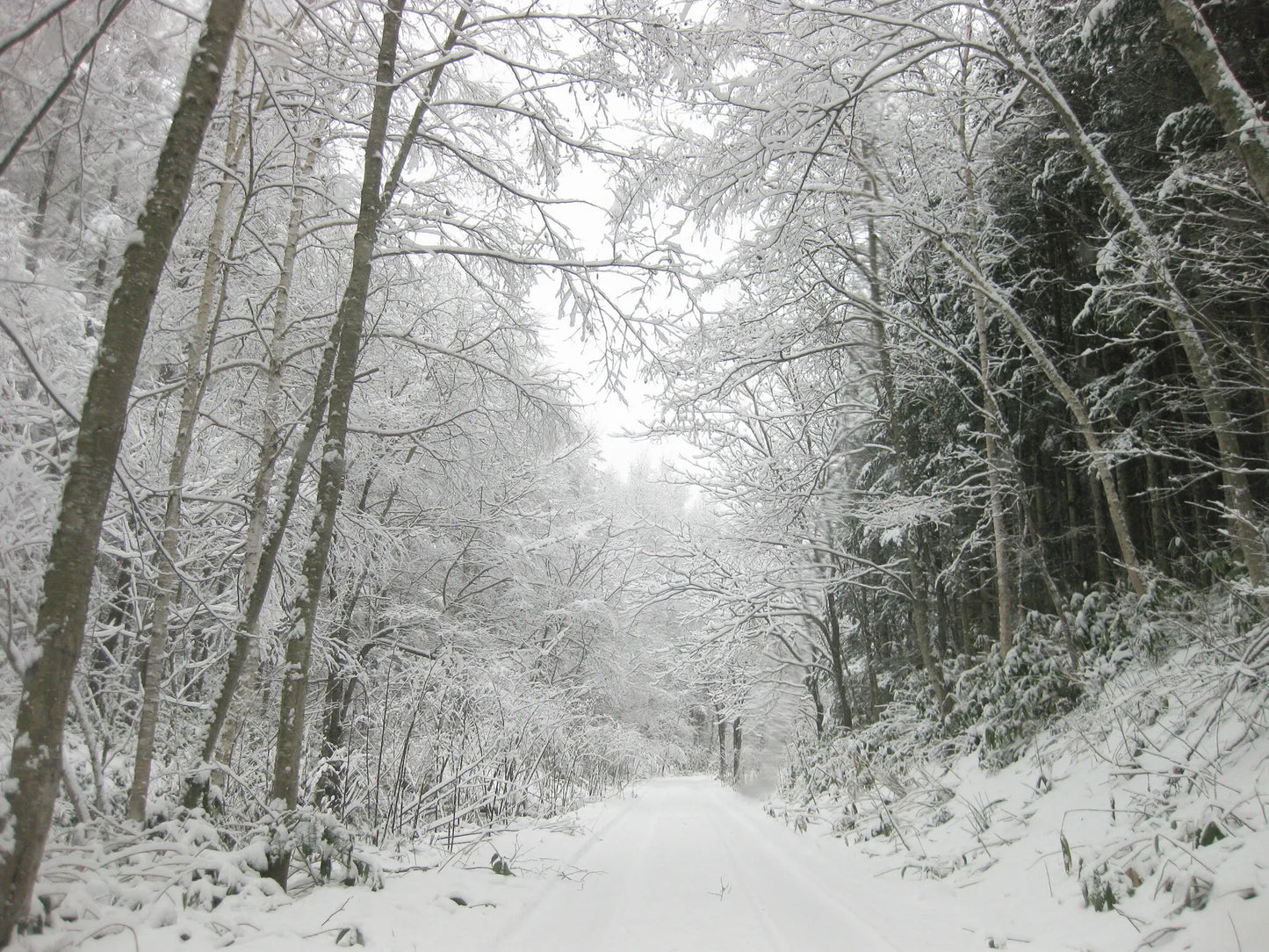 フレグランススプレー ”Into The Snow”　5ml 1個