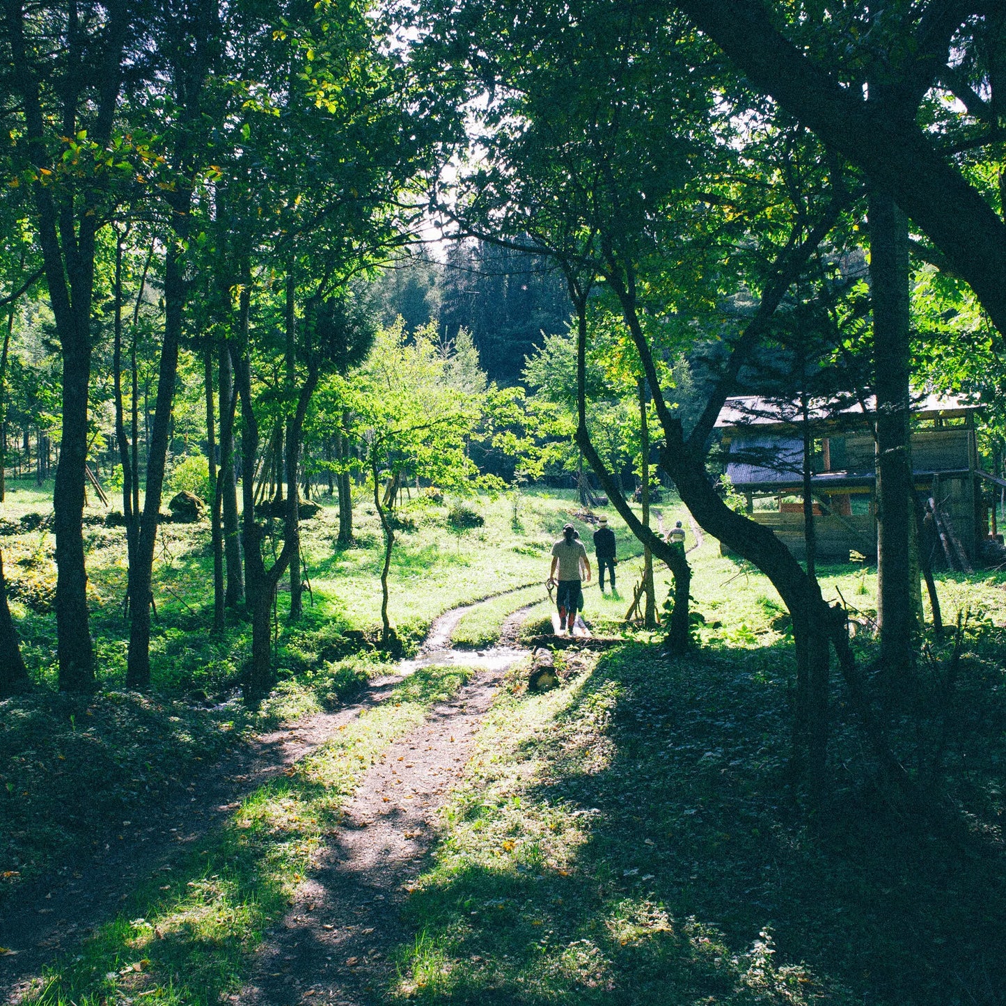 フレグランススプレー ”Creekside Cabin”　5ml 1個