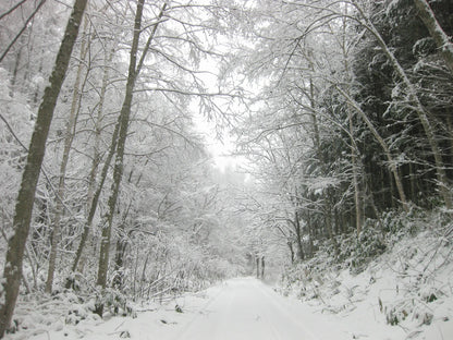 フレグランススプレー ”Into The Snow”　5ml 6個