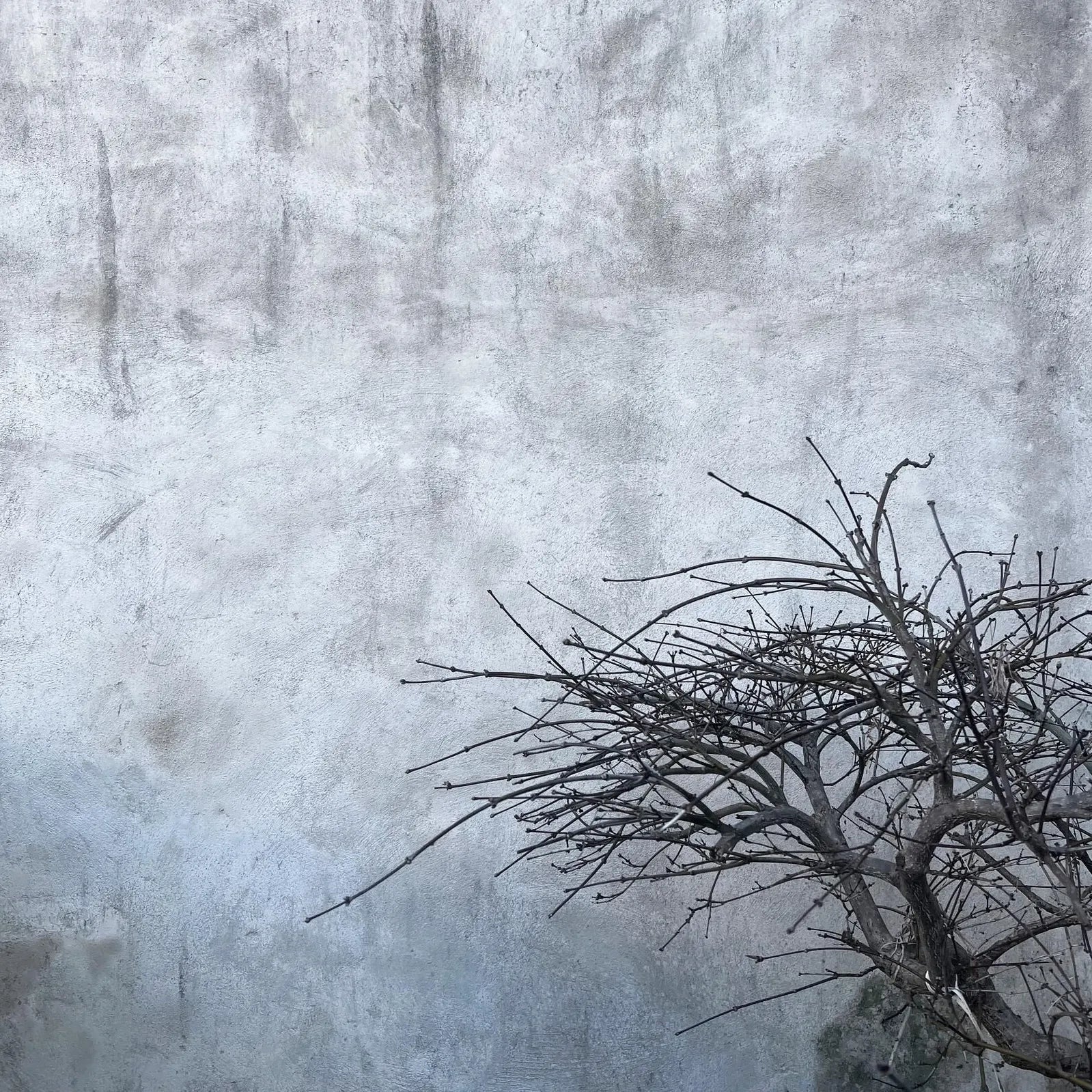 HINOQI ナチュラル・パフューム　１００％天然原料使用した淑やかで優雅な香り No.9 ROKU 麓（ロク）