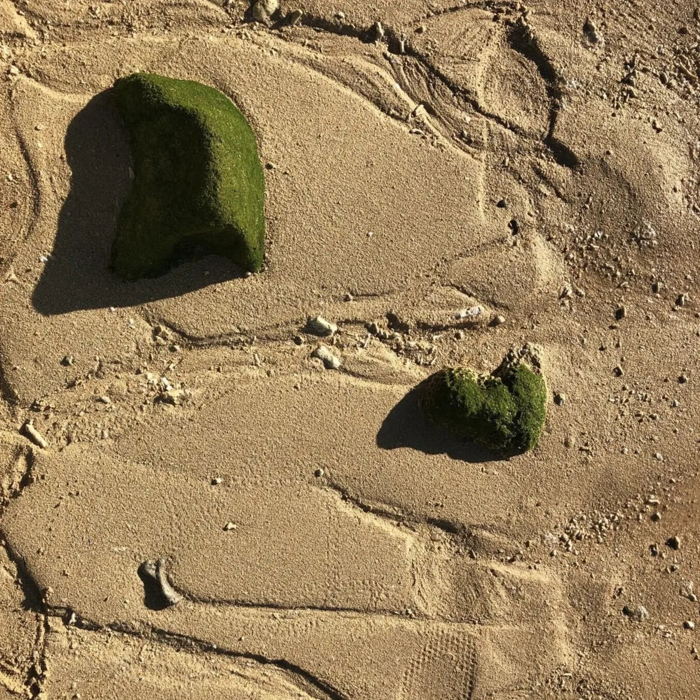 ZUKOH 塗香（ずこう）- 粉のお香でリフレッシュ、気分転換をしたい時に Lサイズ