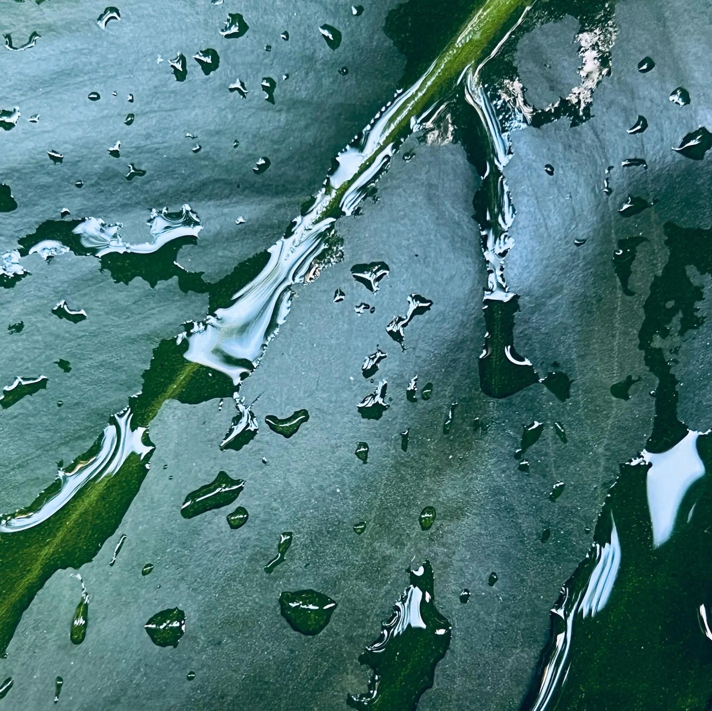 HINOQI ナチュラル・パフューム　１００％天然原料使用した淑やかで優雅な香り No.5 REI 零（レイ）