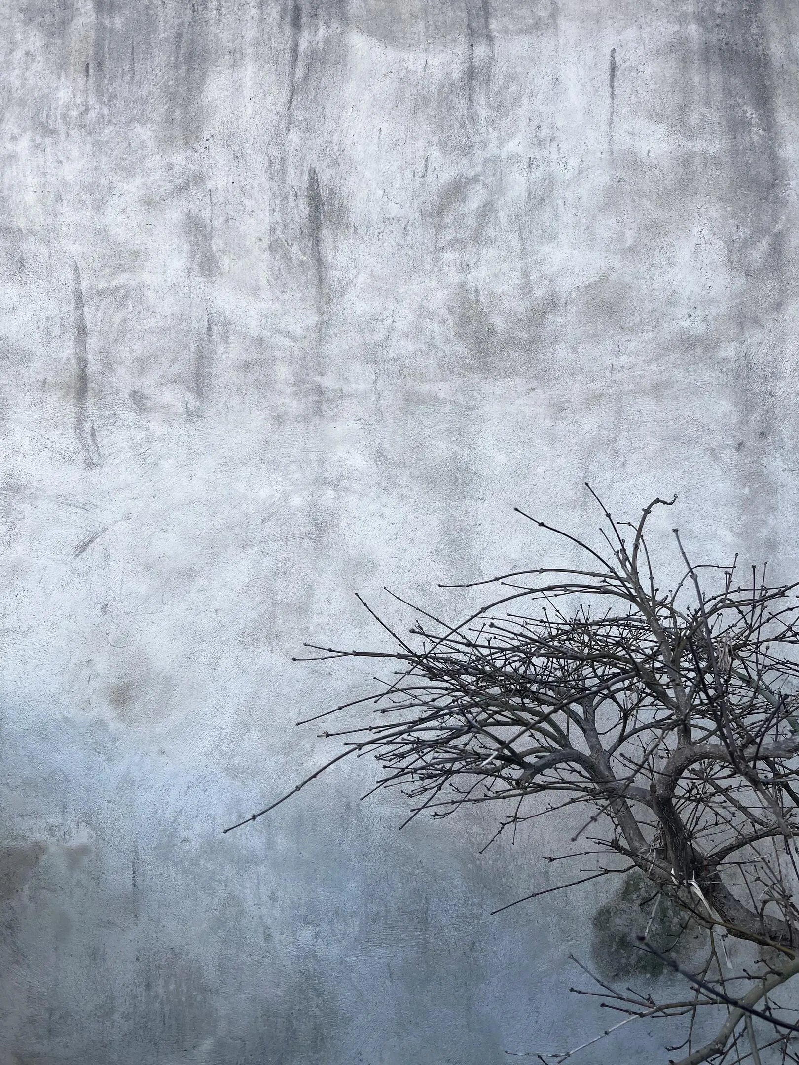 ZUKOH 塗香（ずこう）- 粉のお香でリフレッシュ、気分転換をしたい時に Mサイズ